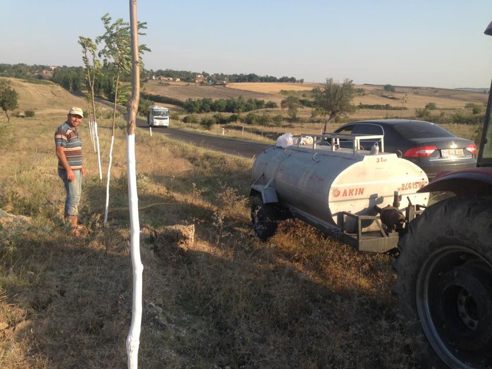 Ziraat Odası Hıdırköy Yolunu Ağaçlandırdı.